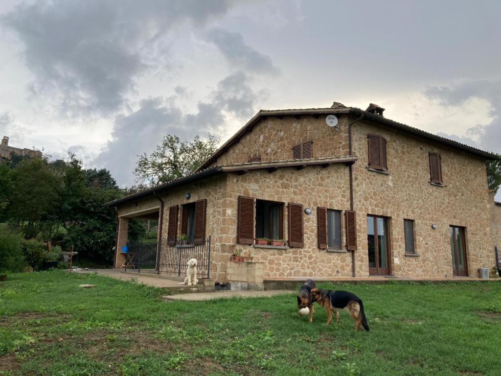 Casale Riorso Ξενοδοχείο Ορβιέτο Εξωτερικό φωτογραφία