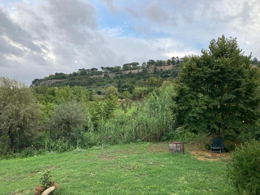 Casale Riorso Ξενοδοχείο Ορβιέτο Εξωτερικό φωτογραφία