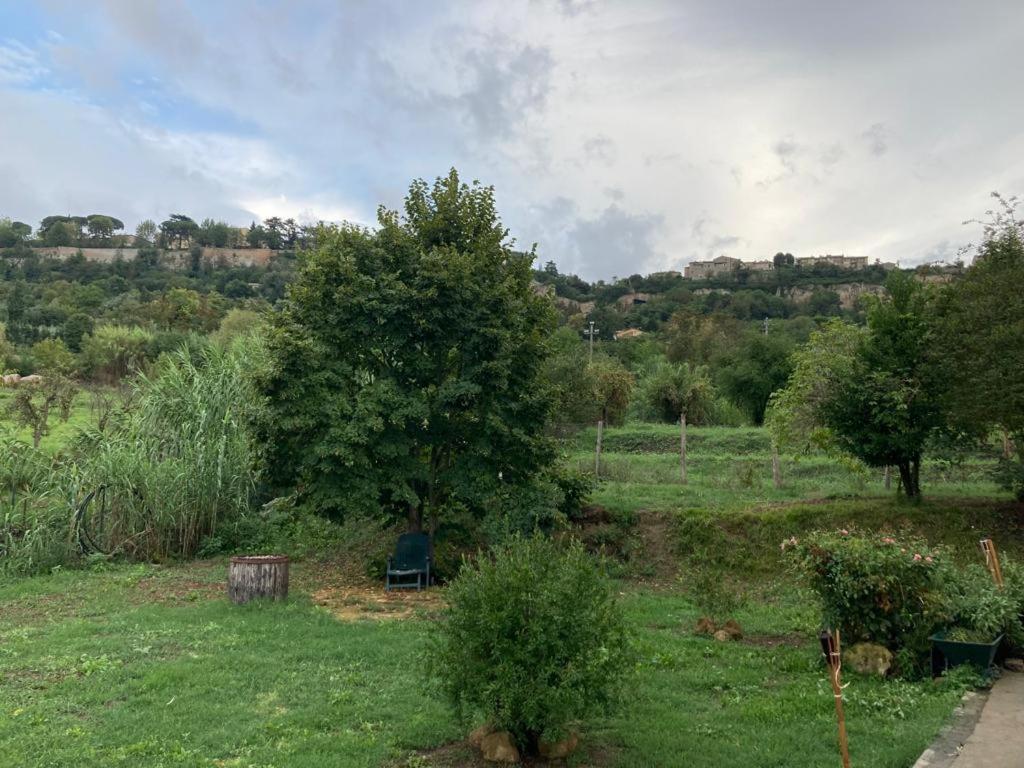 Casale Riorso Ξενοδοχείο Ορβιέτο Εξωτερικό φωτογραφία